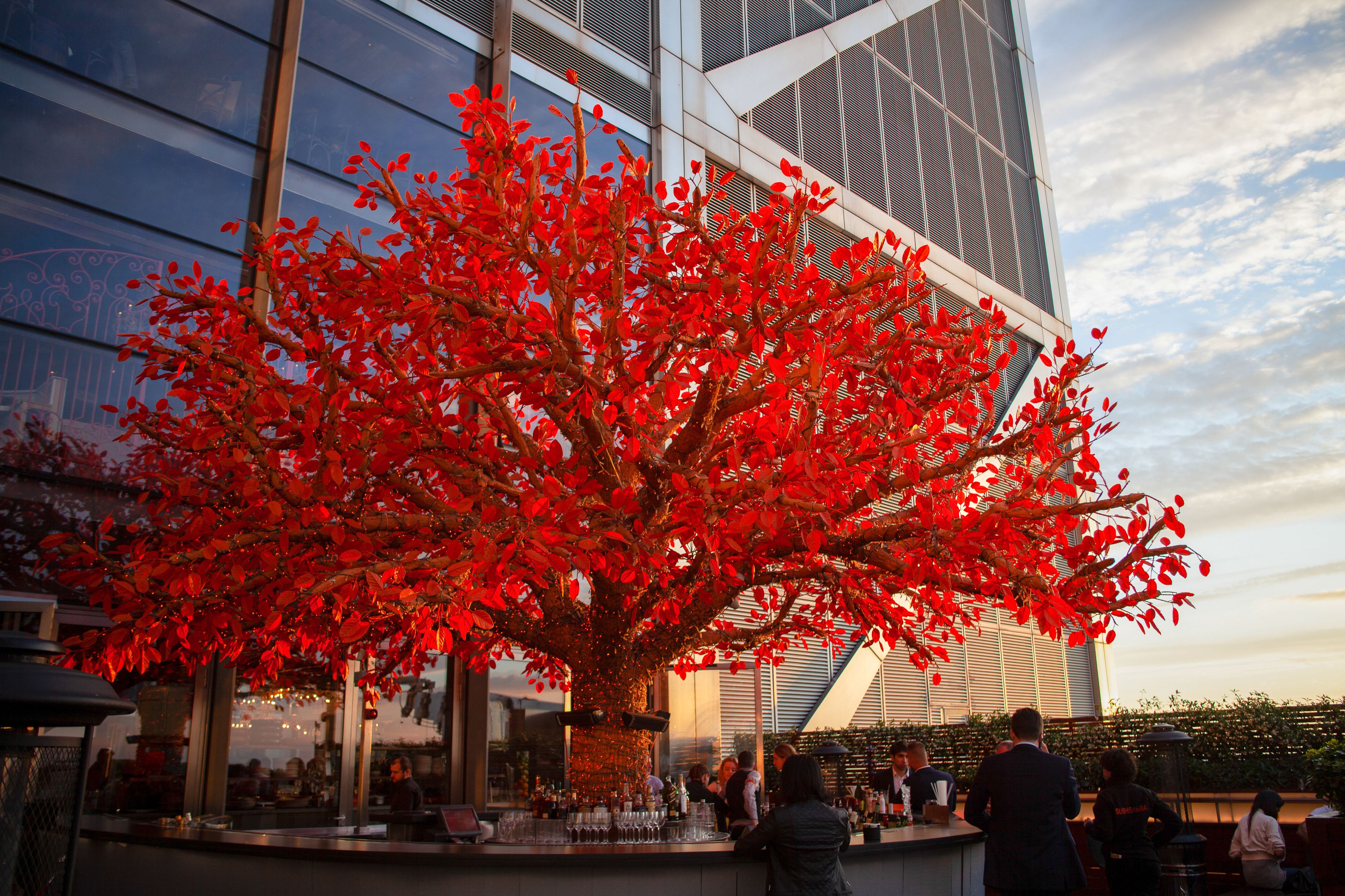 Heron Tower Tree Terrace